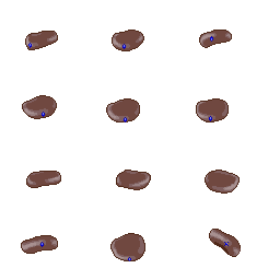 ID_HAT_066 recovered asset