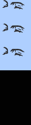 ID_EYE1 recovered asset