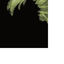 ID_HAIR4 recovered asset