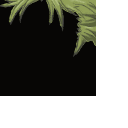 ID_HAIR8 recovered asset